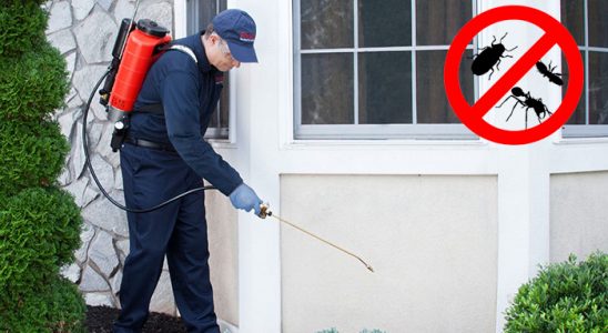 Beydağ Böcek ve Haşere İlaçlama böcek ilaçlama ve haşere kontrolü — ilaclama-tr.com